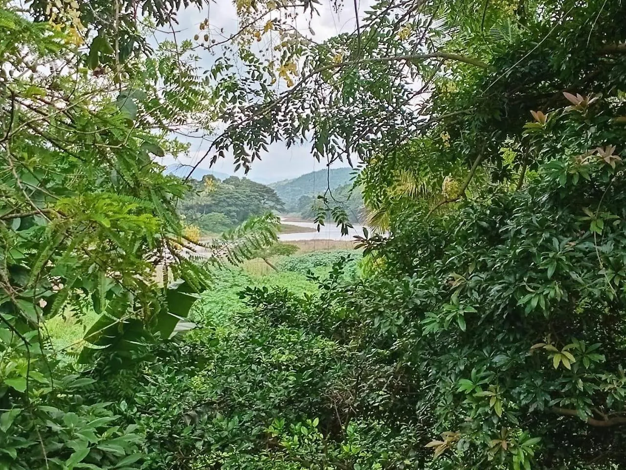 Guest house The River Lodge Kandy